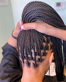 Box Braids - Twist - Reg Straight Backs